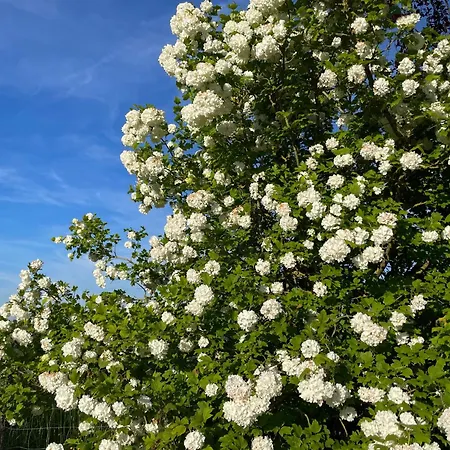 Holiday home Pierre De Jade Neuille-Pont-Pierre