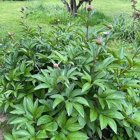 Holiday home Pierre De Jade *