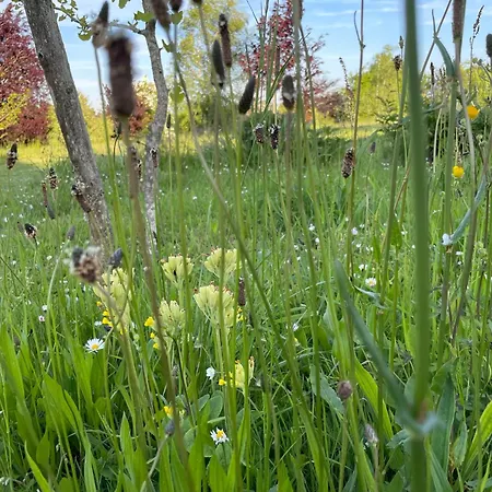 펜션 Pierre De Jade *