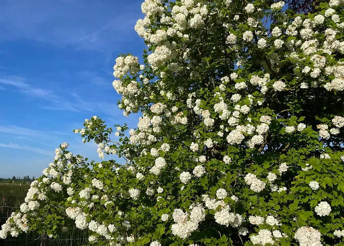 펜션 Pierre De Jade Neuille-Pont-Pierre