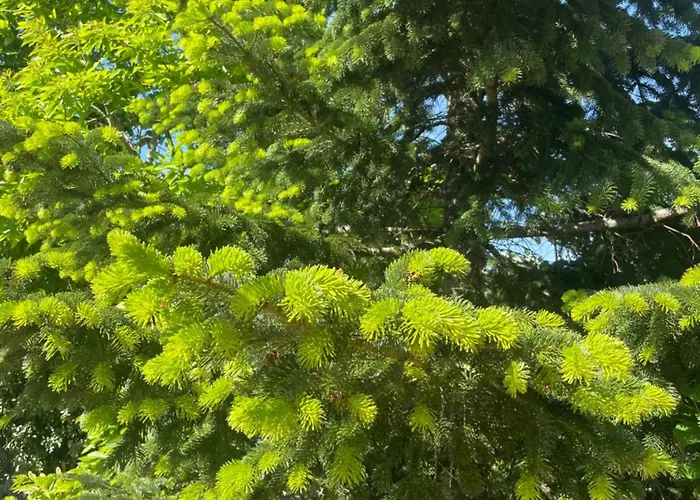 Dom wakacyjny Pierre De Jade