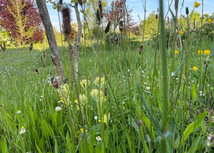 펜션 Pierre De Jade *